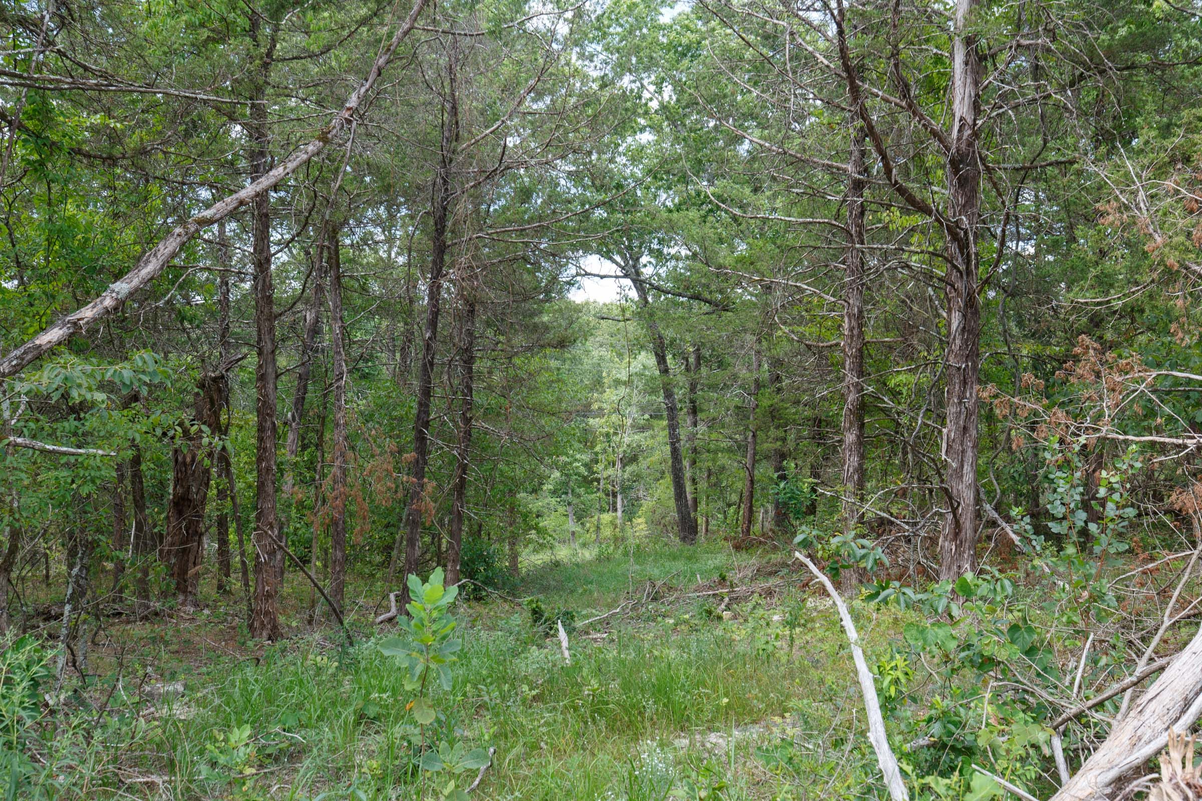 Wildwood Tract 34 photo 4