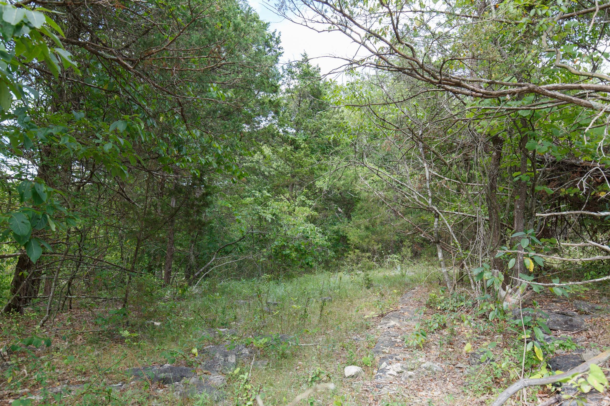Wildwood Tract 34 photo 11