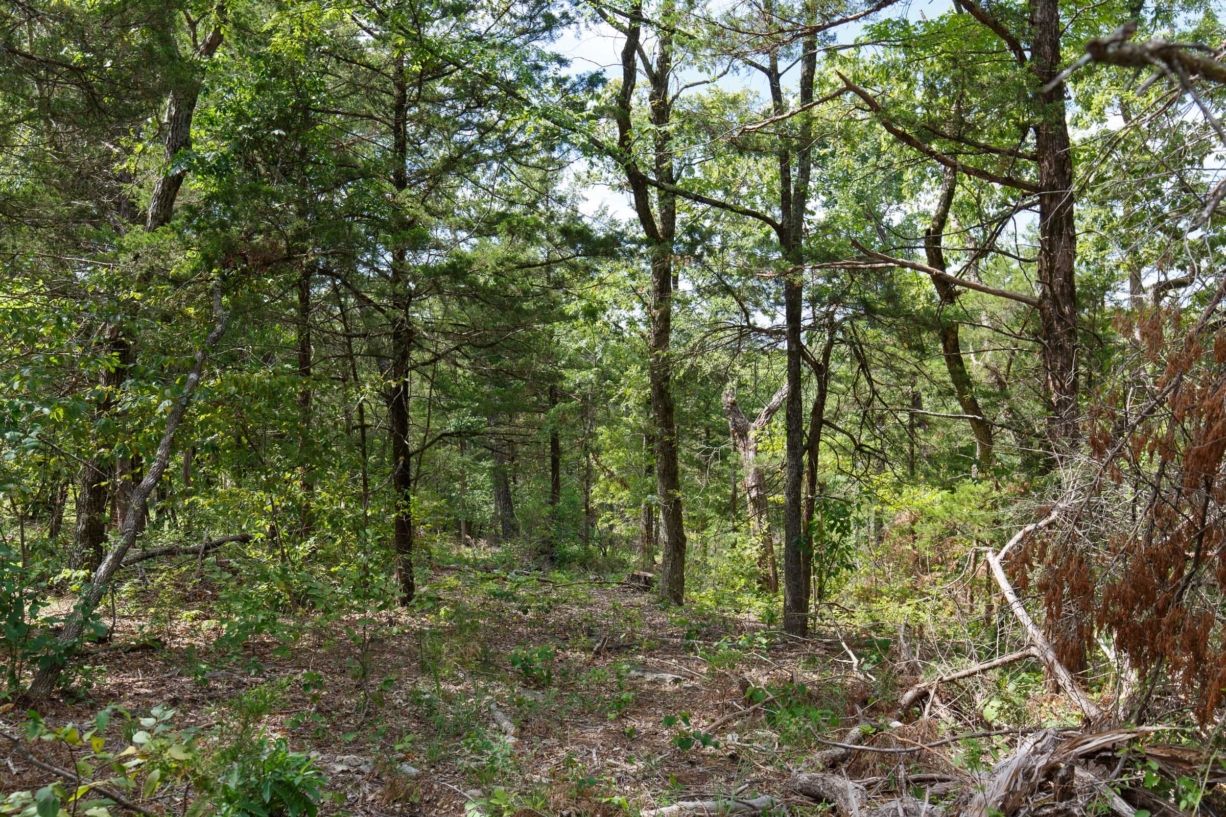 Wildwood Tract 34 photo 8