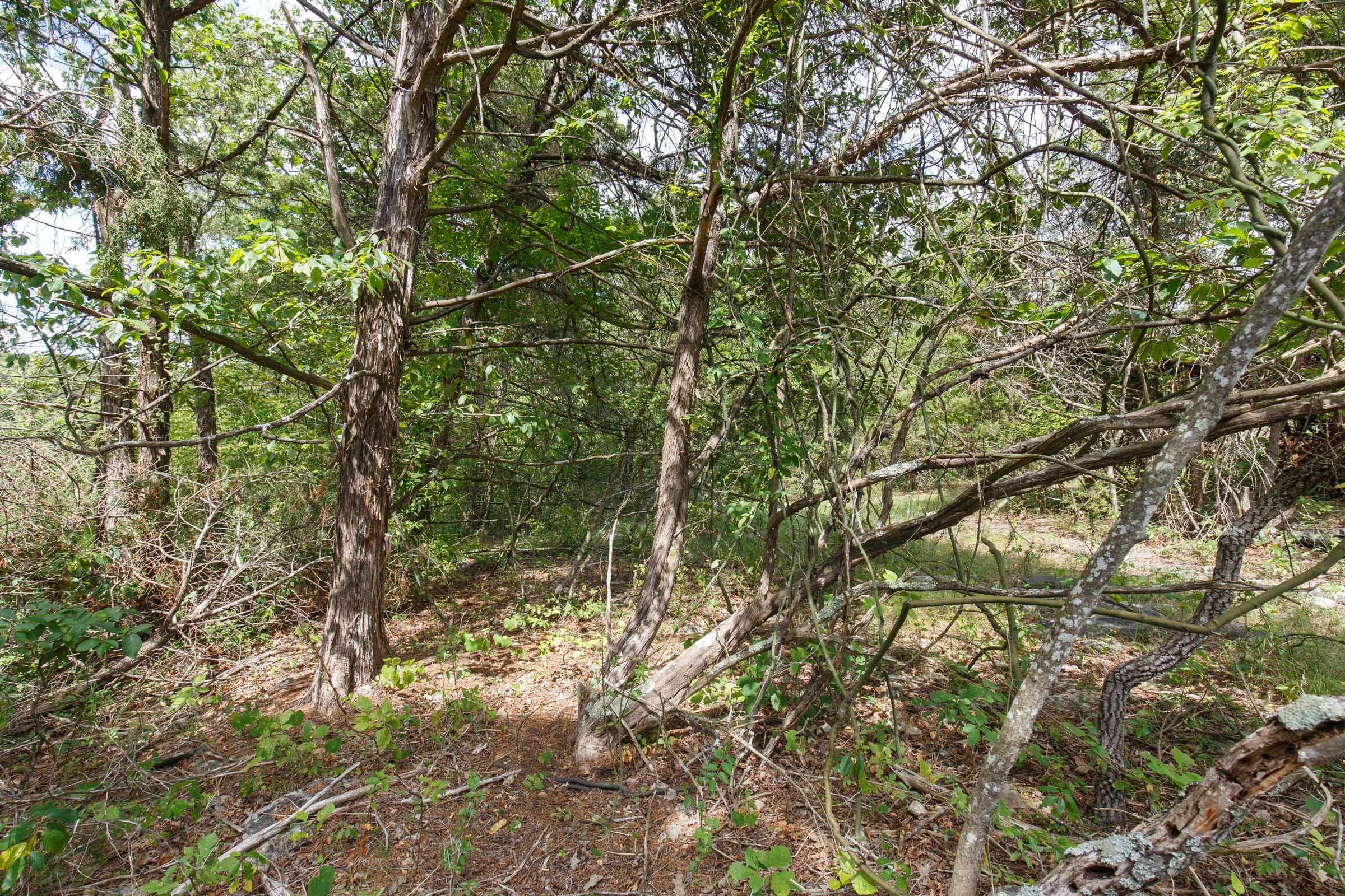 Wildwood Tract 34 photo 5