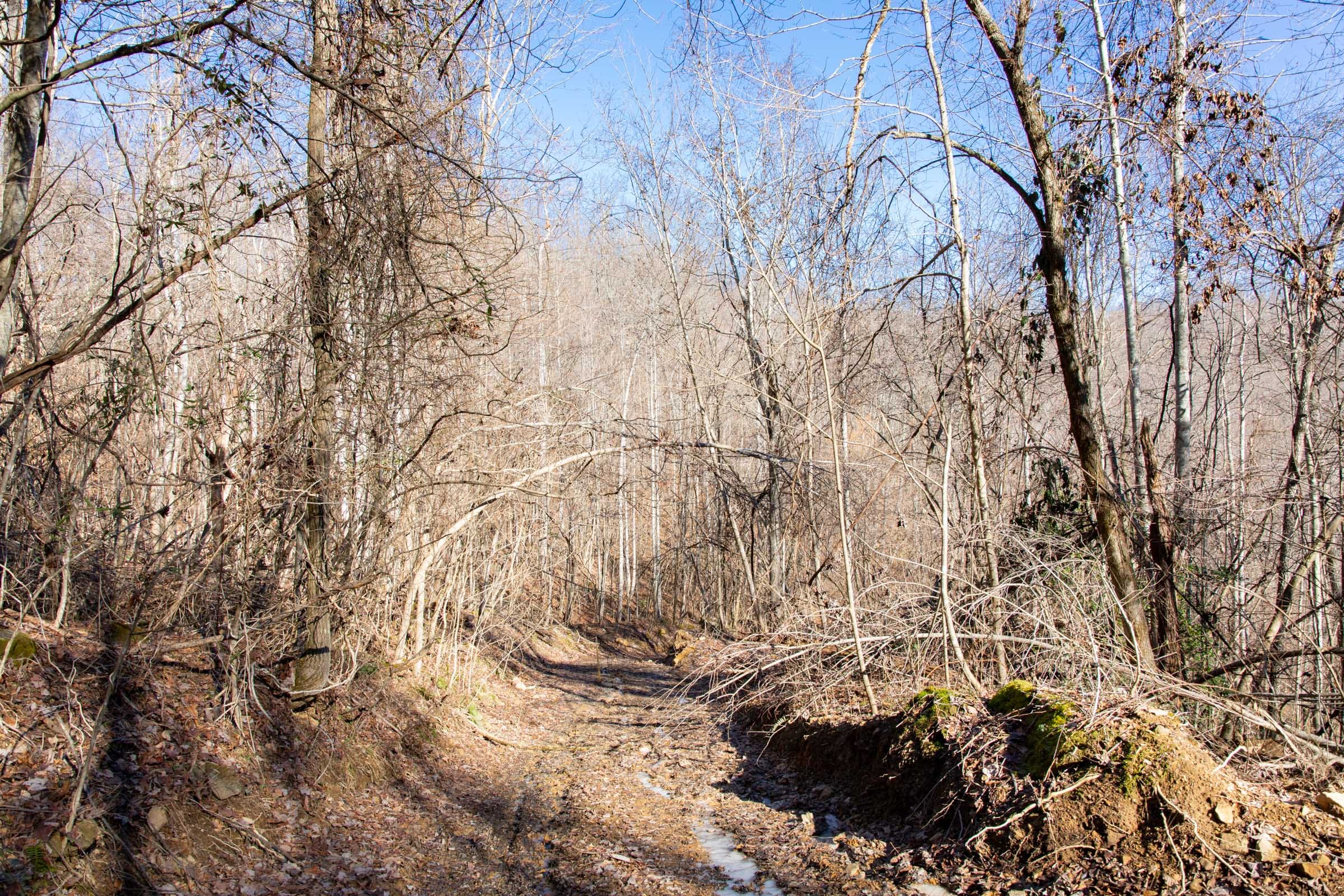 Blackstone Mountain Phase I Tract 21 photo 3