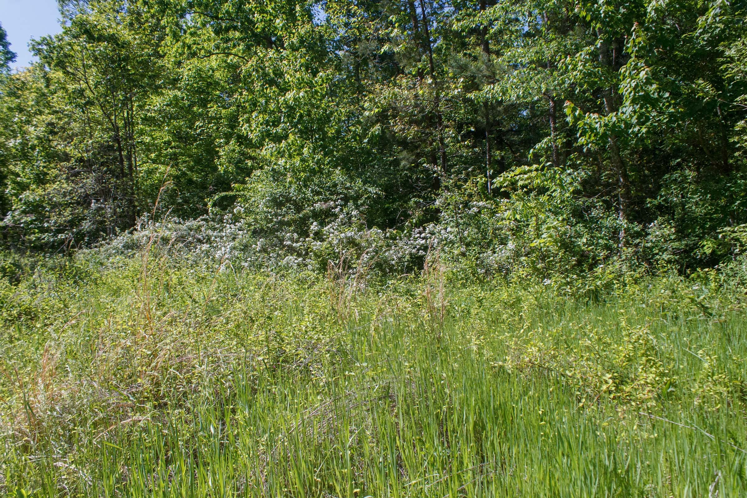 Riverbend Tract 9 photo 2