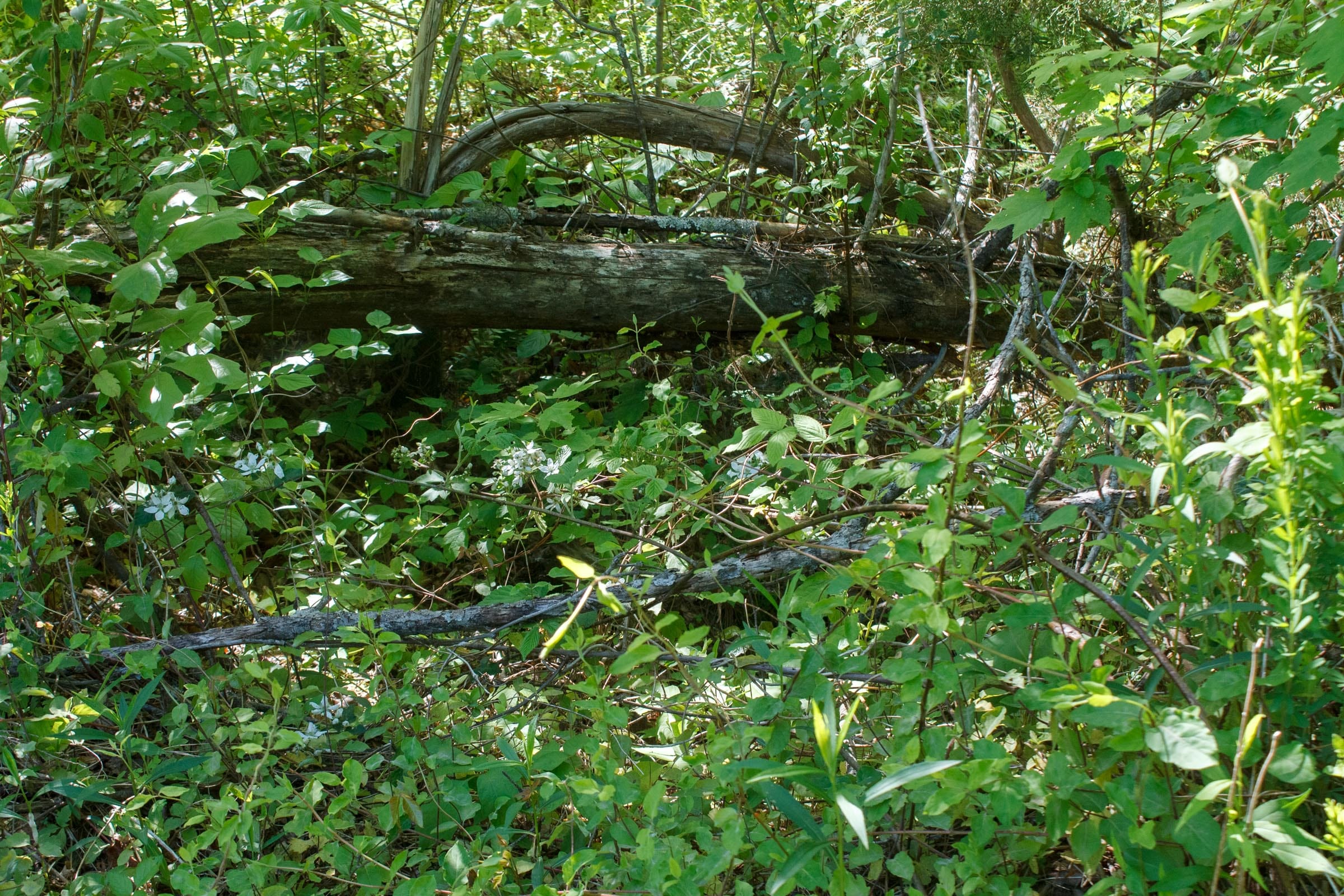 Riverbend Tract 9 photo 5