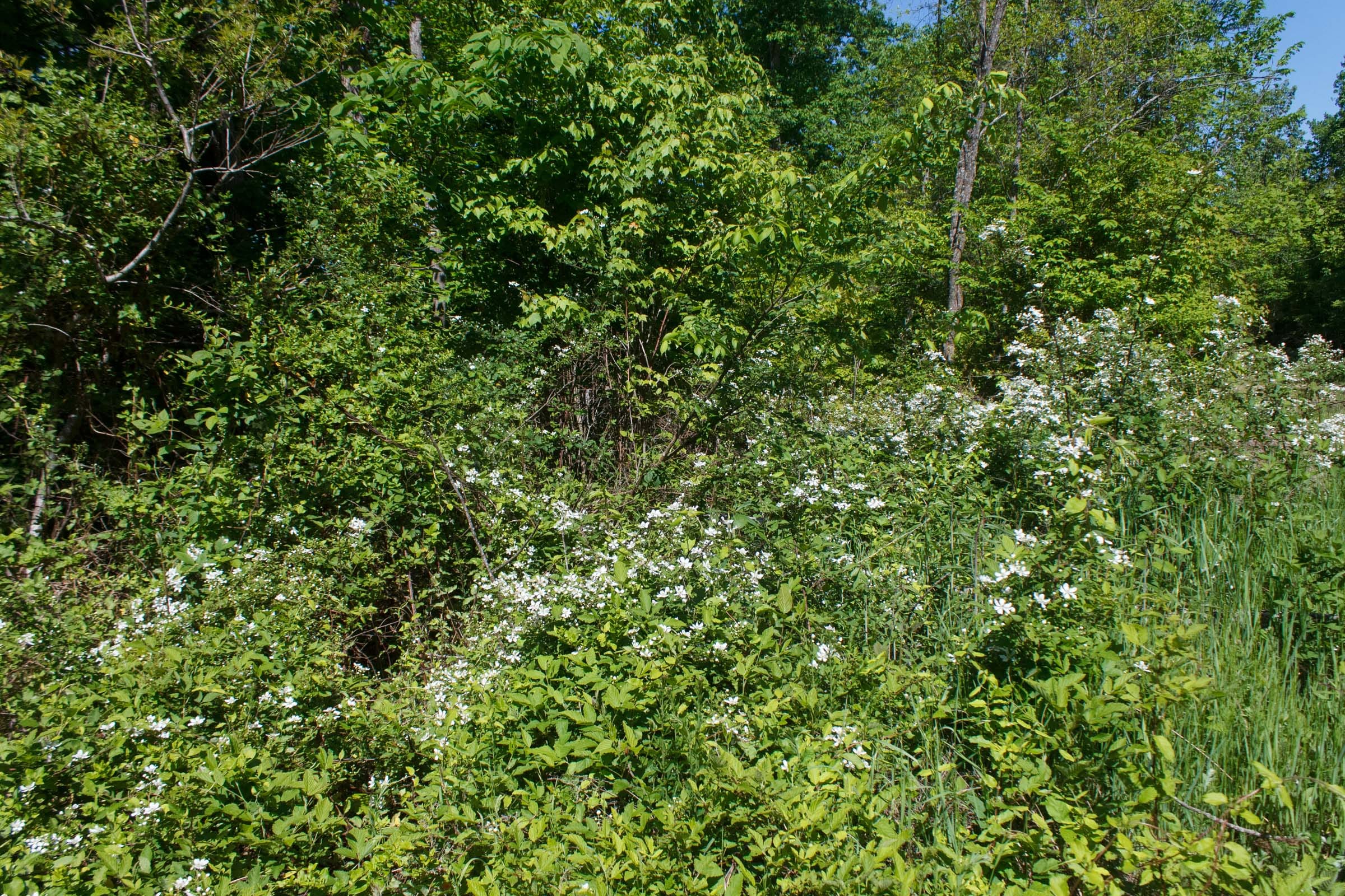Riverbend Tract 9 photo 10
