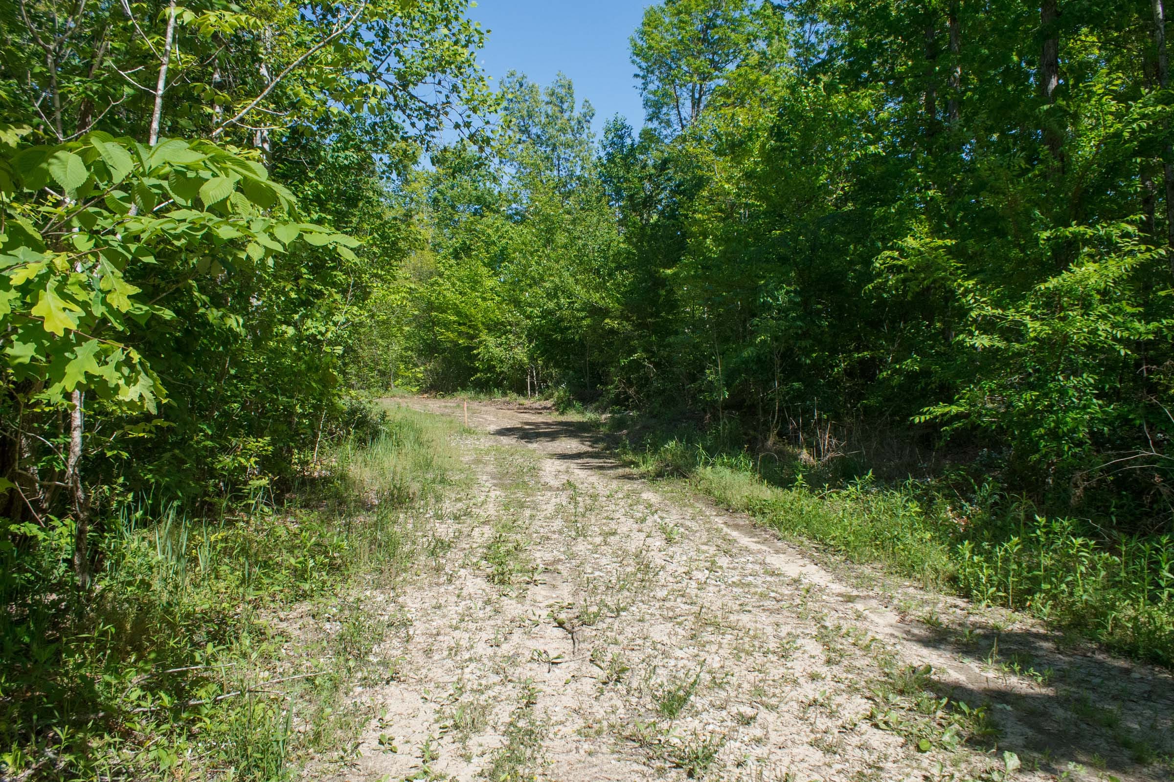 Riverbend Tract 9 photo 6