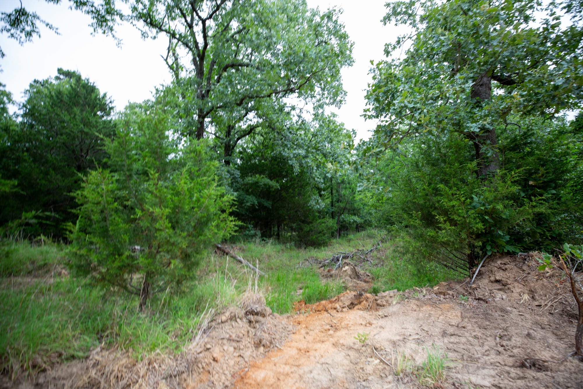 Eagle’s Nest Tract 68 photo 2