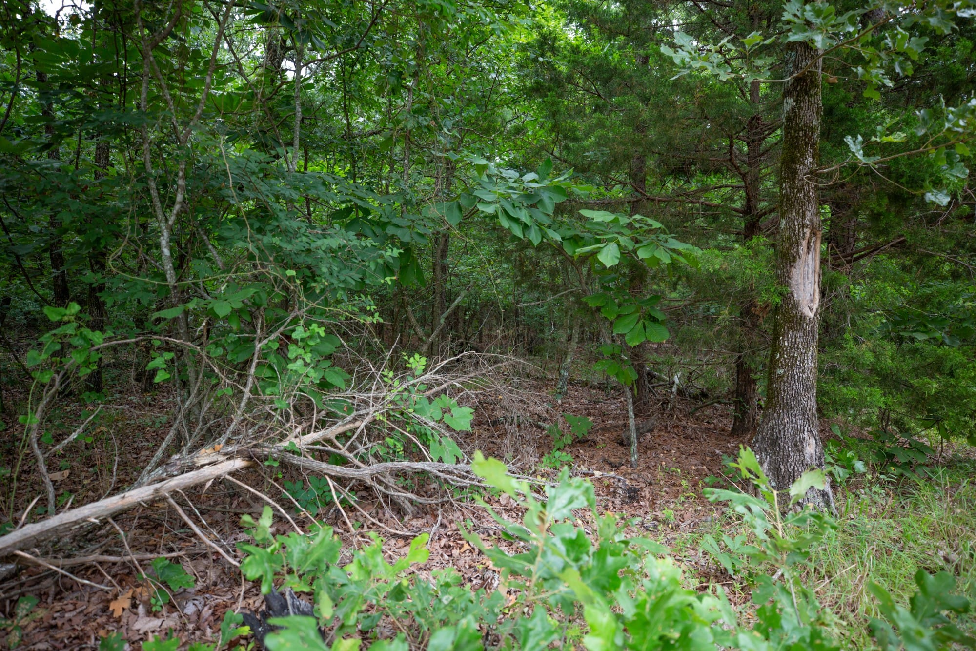 Eagle’s Nest Tract 68 photo 6