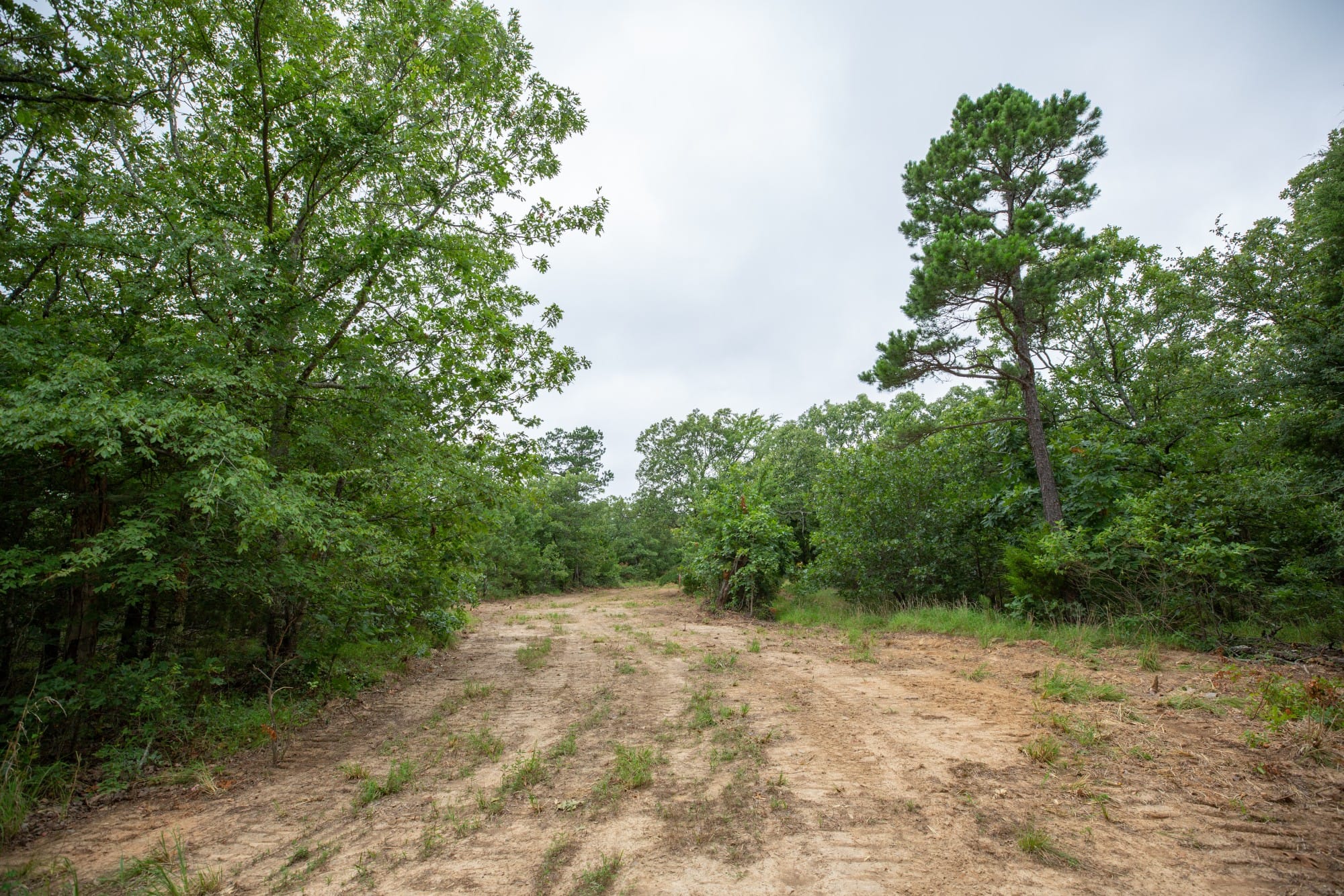 Eagle’s Nest Tract 68 photo 7