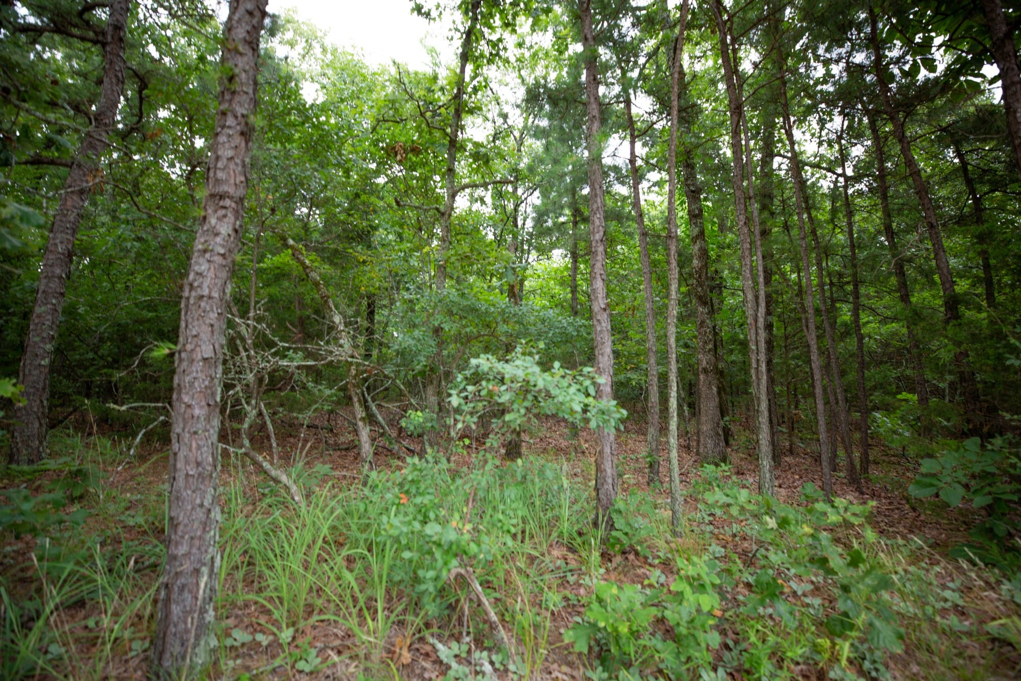 Eagle’s Nest Tract 68 photo 11