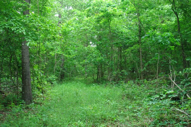 Whispering Oaks Tract 3 photo 1