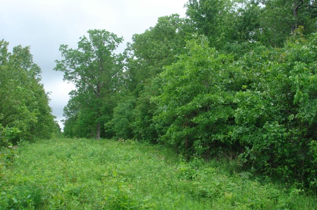Whispering Oaks Tract 3 photo 5