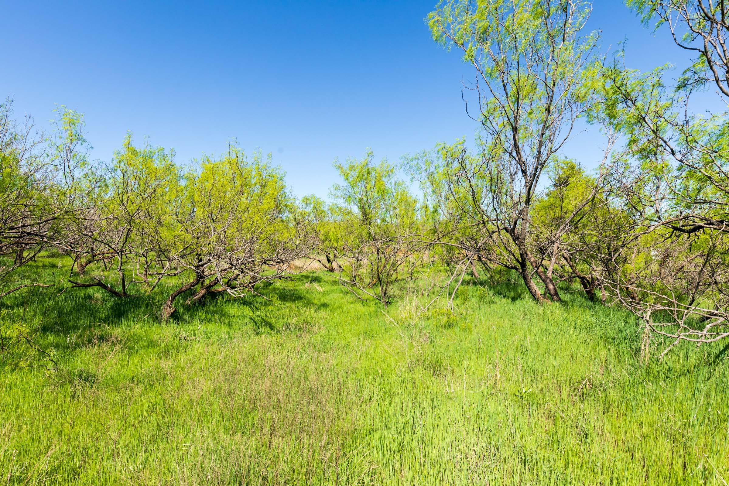 Hackberry Fields Tract 7 photo 5