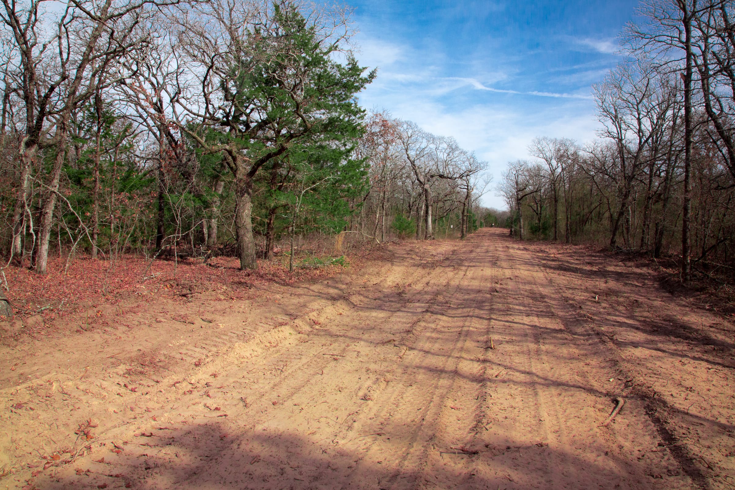 Legacy Ranch Tract 21 photo 6