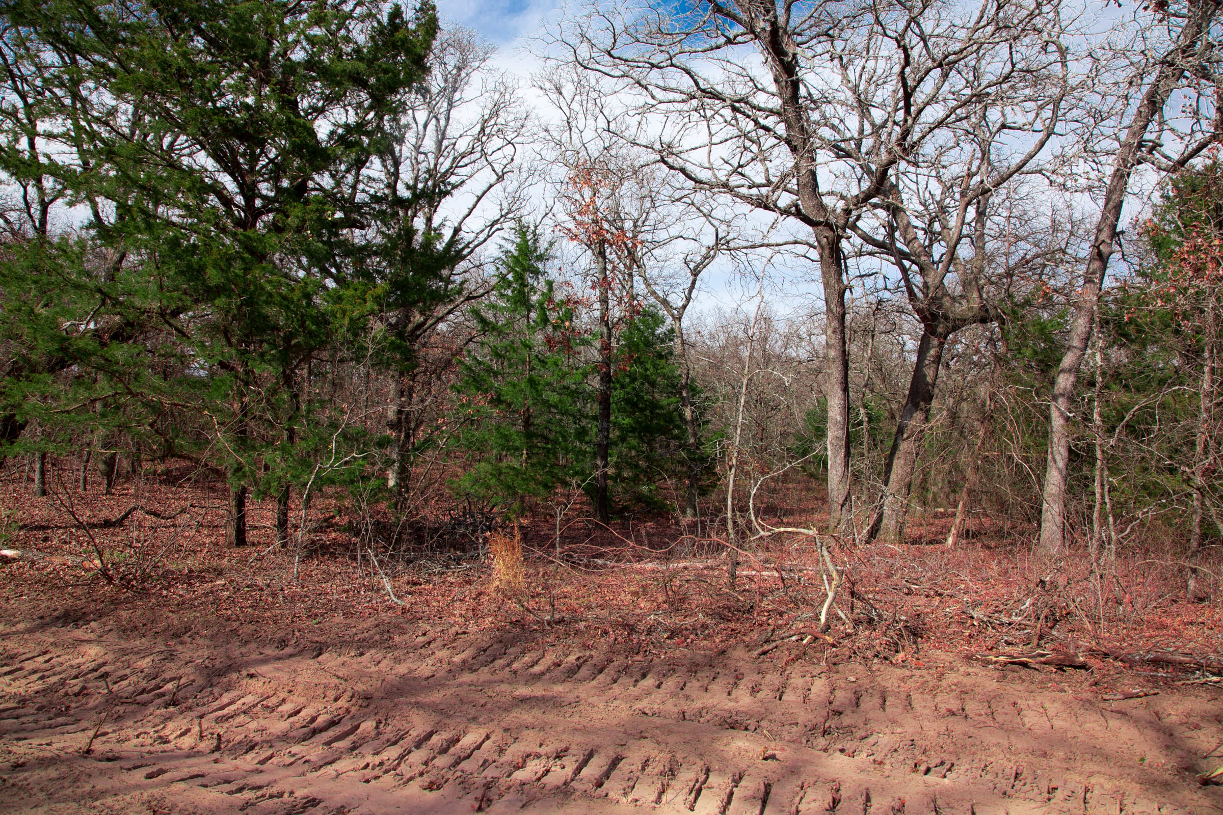 Legacy Ranch Tract 21 photo 11