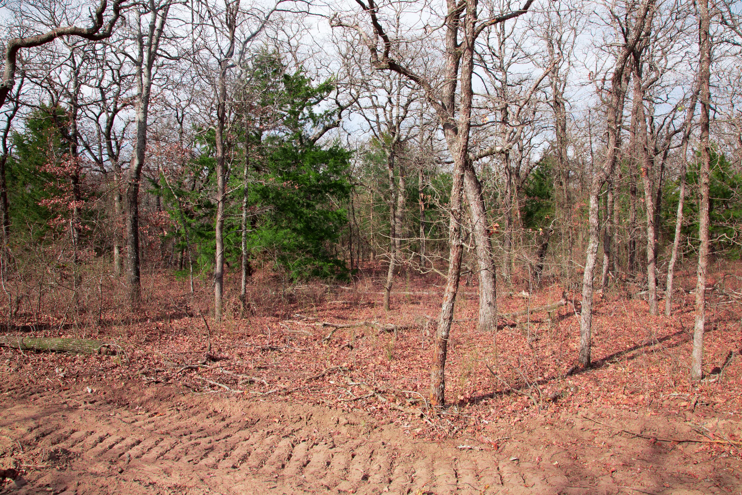 Legacy Ranch Tract 21 photo 13