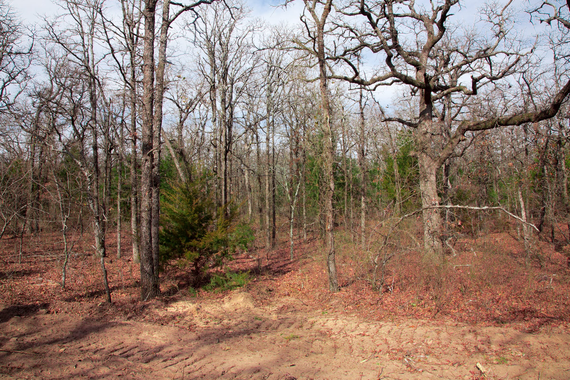 Legacy Ranch Tract 21 photo 15