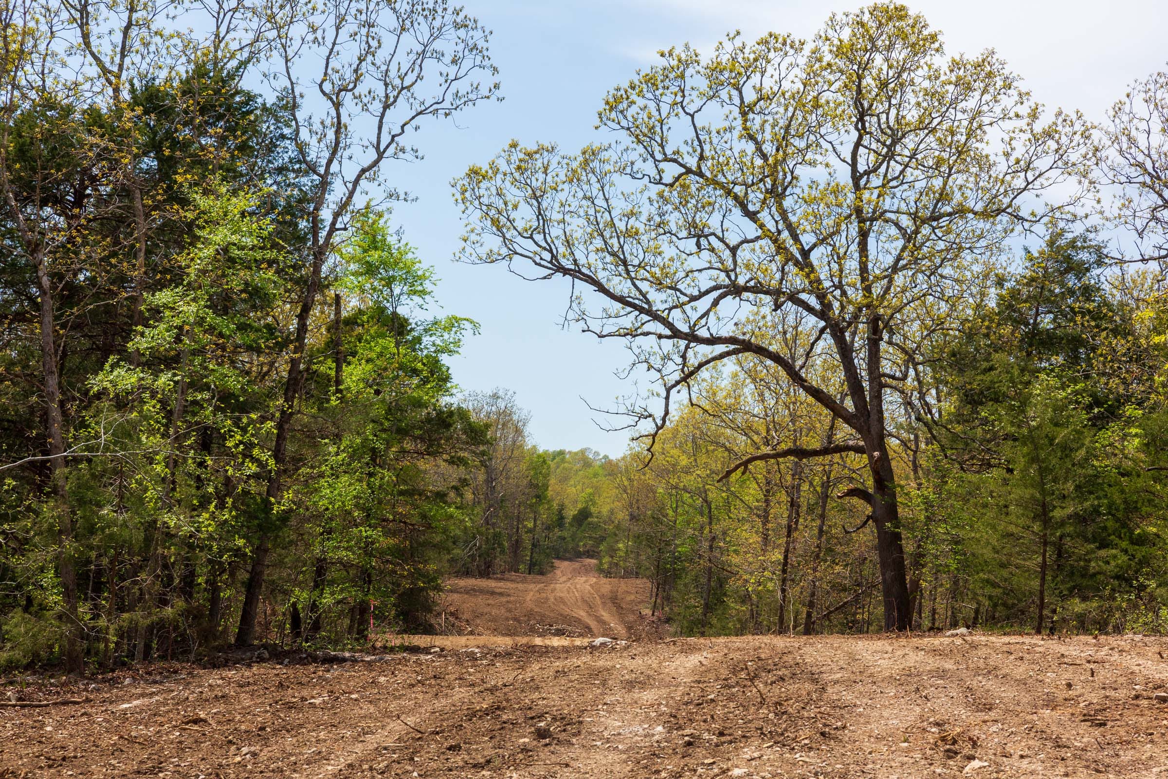 Autumnwood Tract 10 photo 1