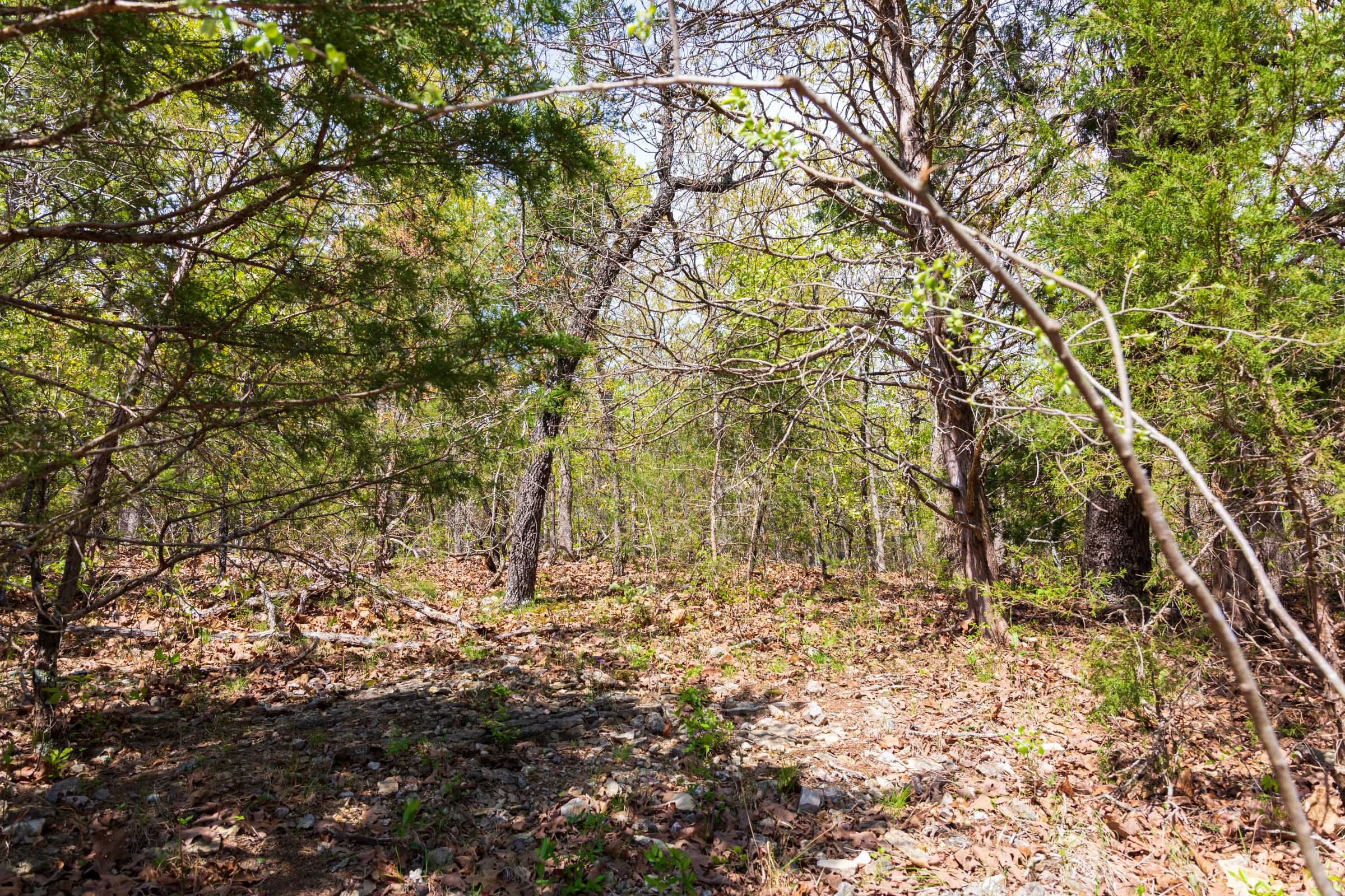 Autumnwood Tract 10 photo 4