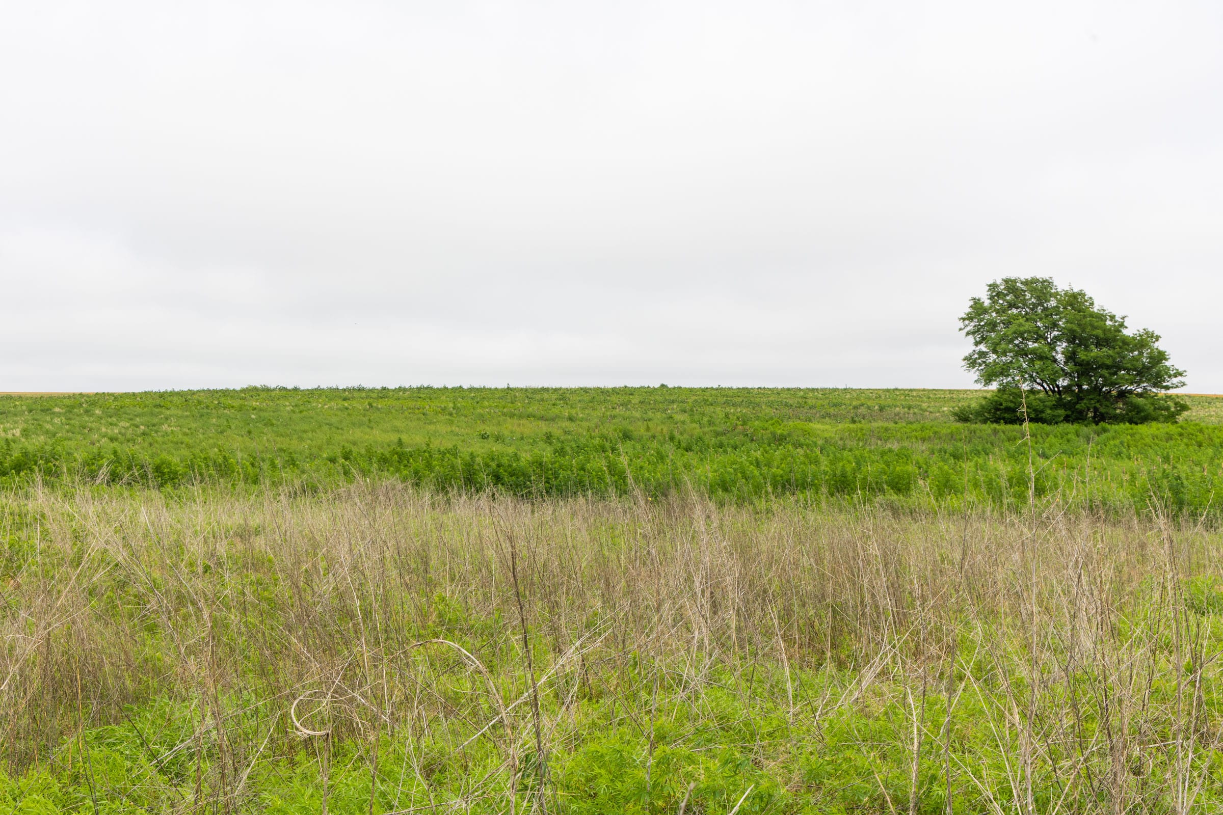 Crandall's Corner Tract 14 photo 6