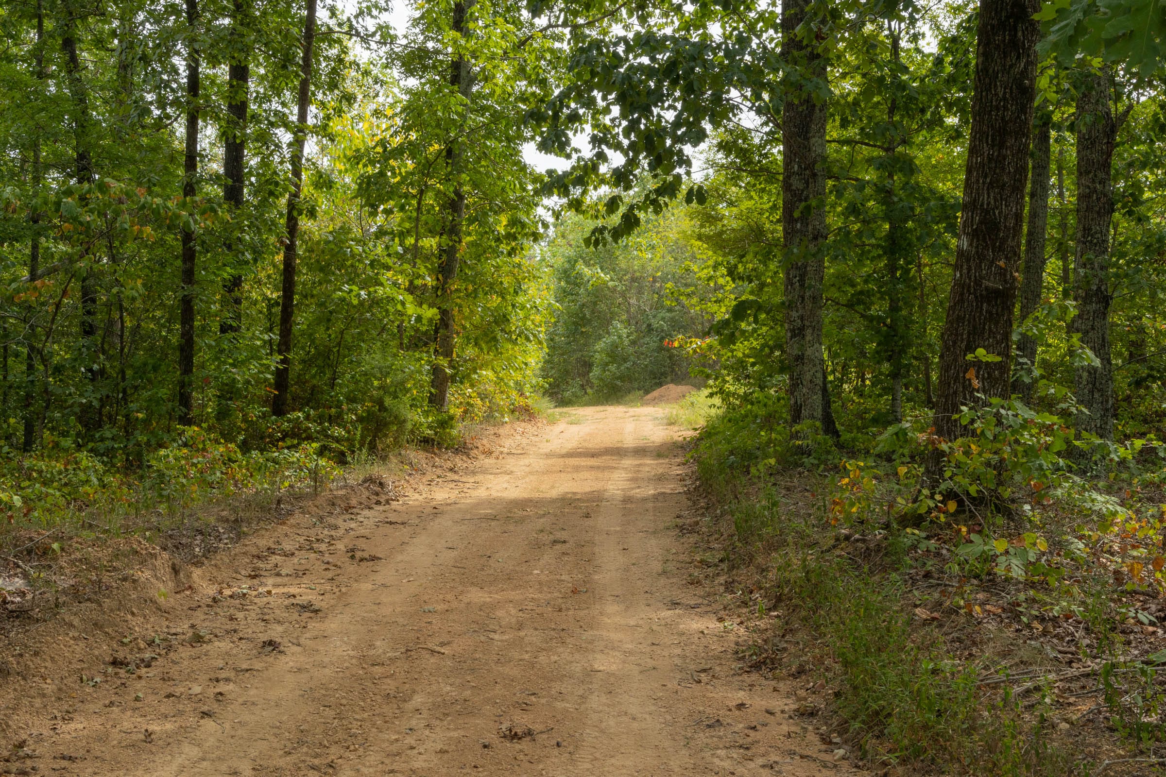 Big White Oak Tract 66 photo 8