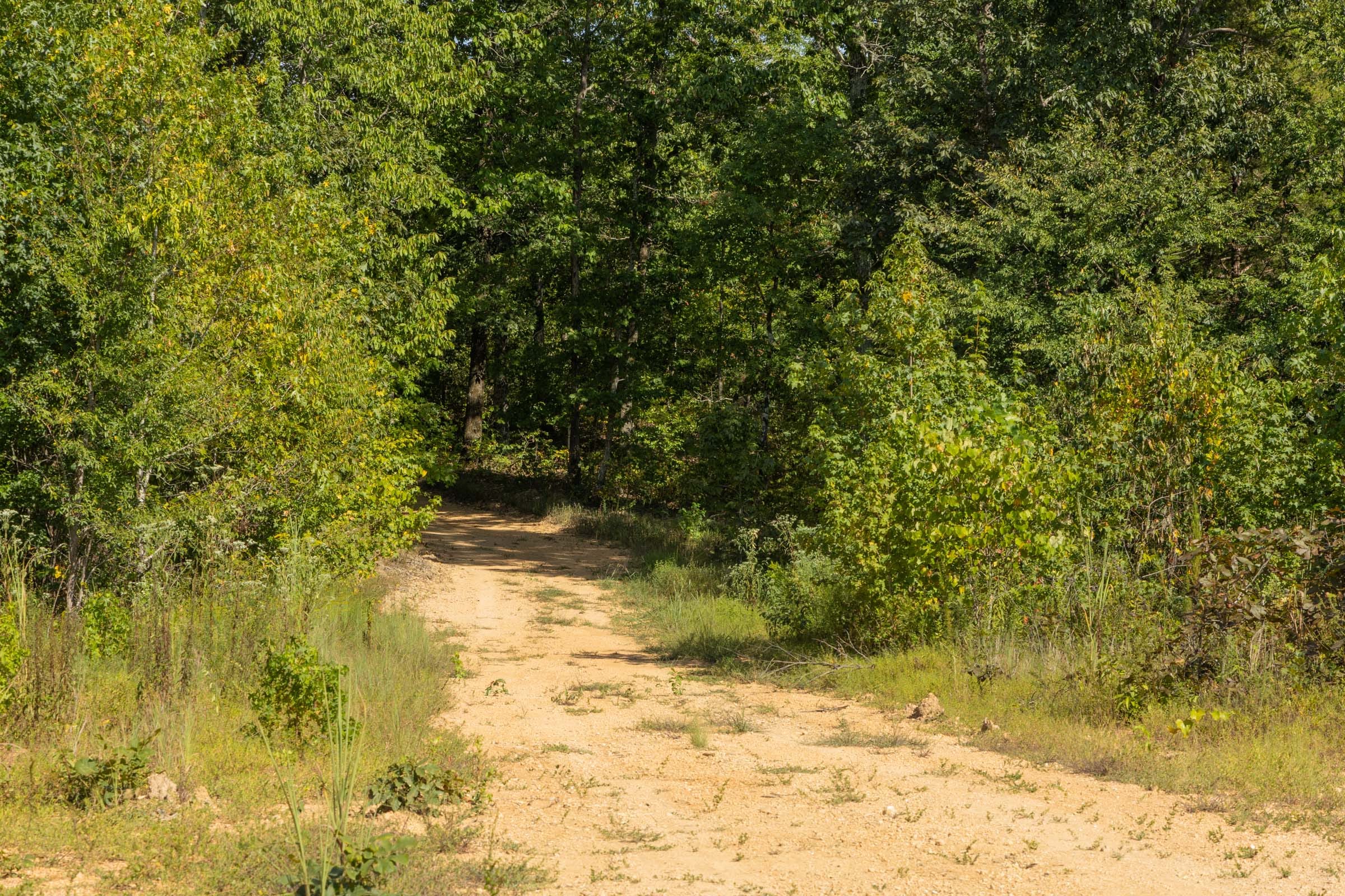 Big White Oak Tract 67 photo 4