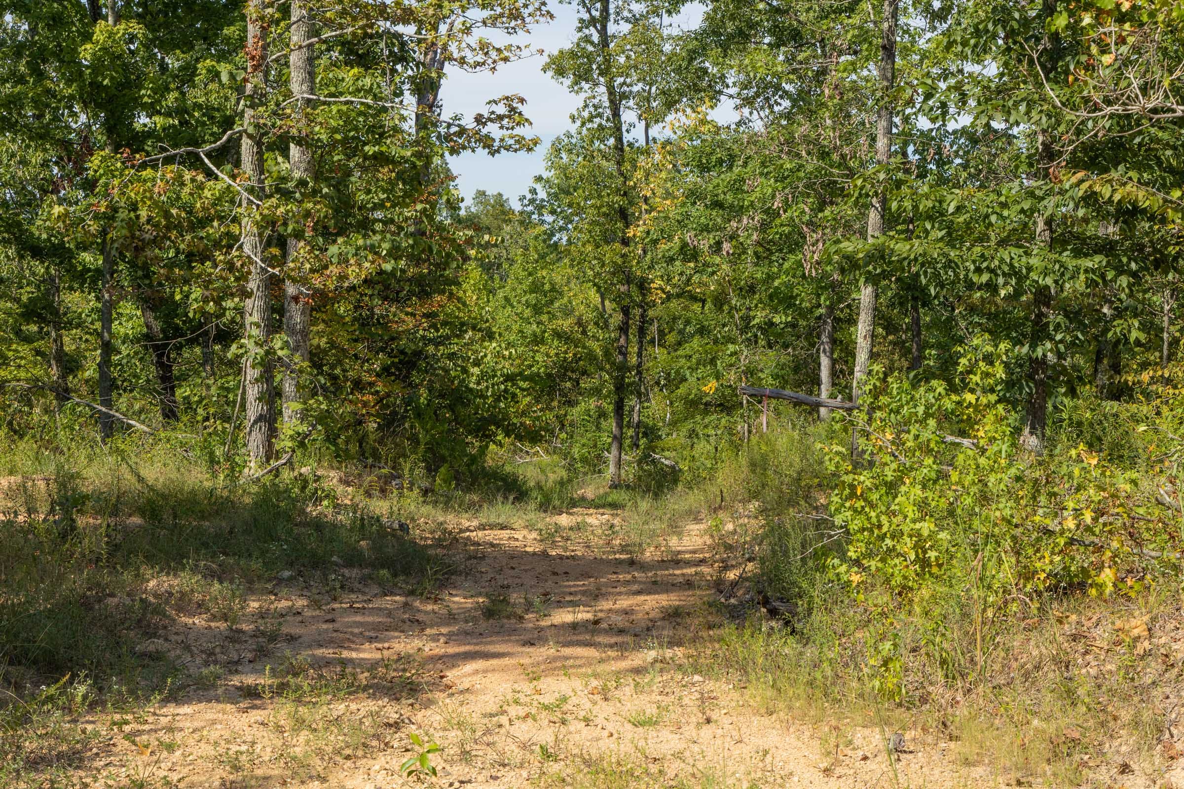 Big White Oak Tract 67 photo 3