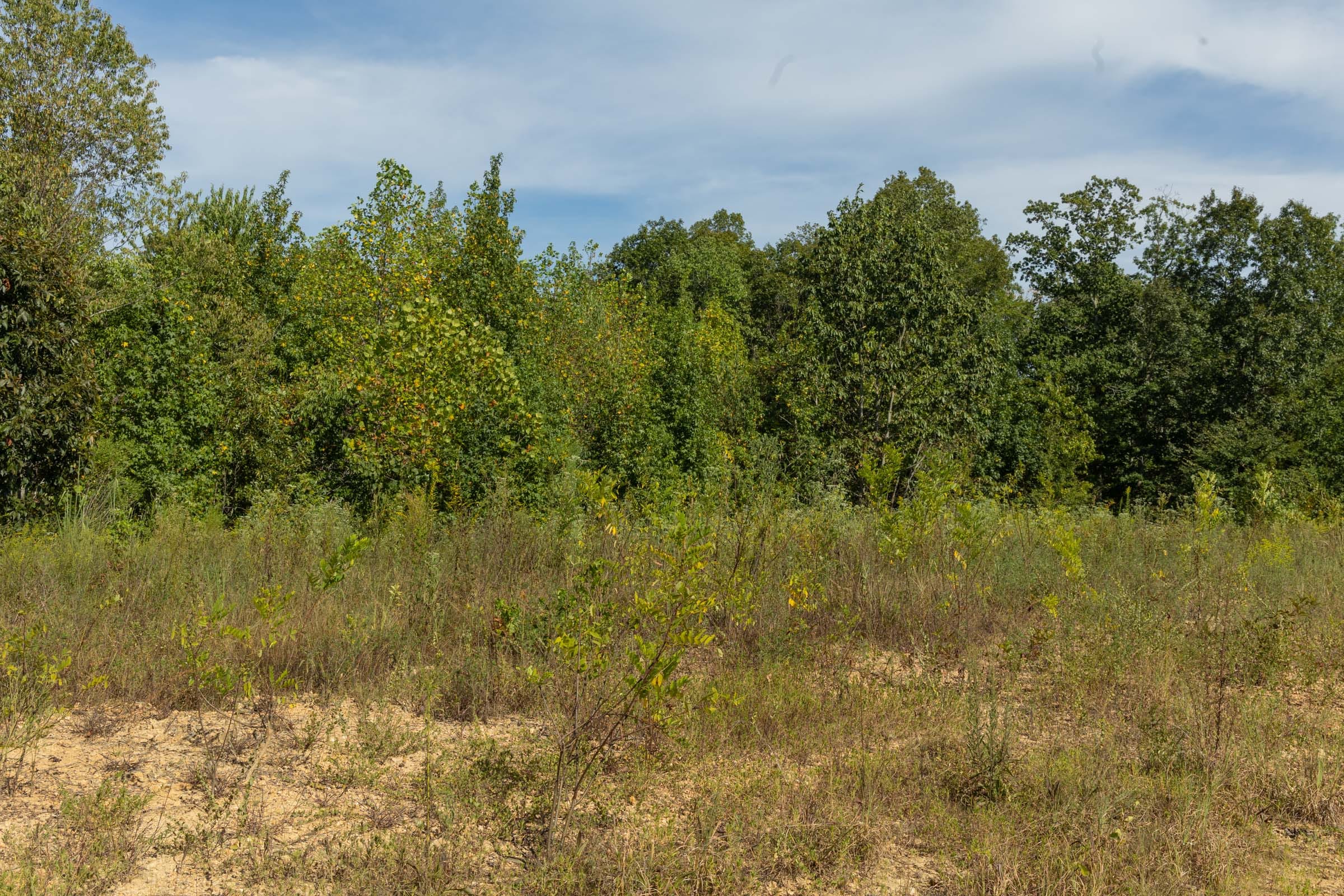 Big White Oak Tract 67 photo 2