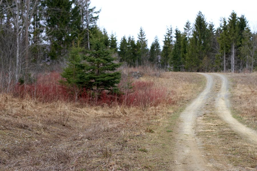 Sunrise Estates Tract 6 photo 9