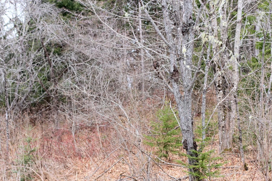 Sunrise Estates Tract 6 photo 10