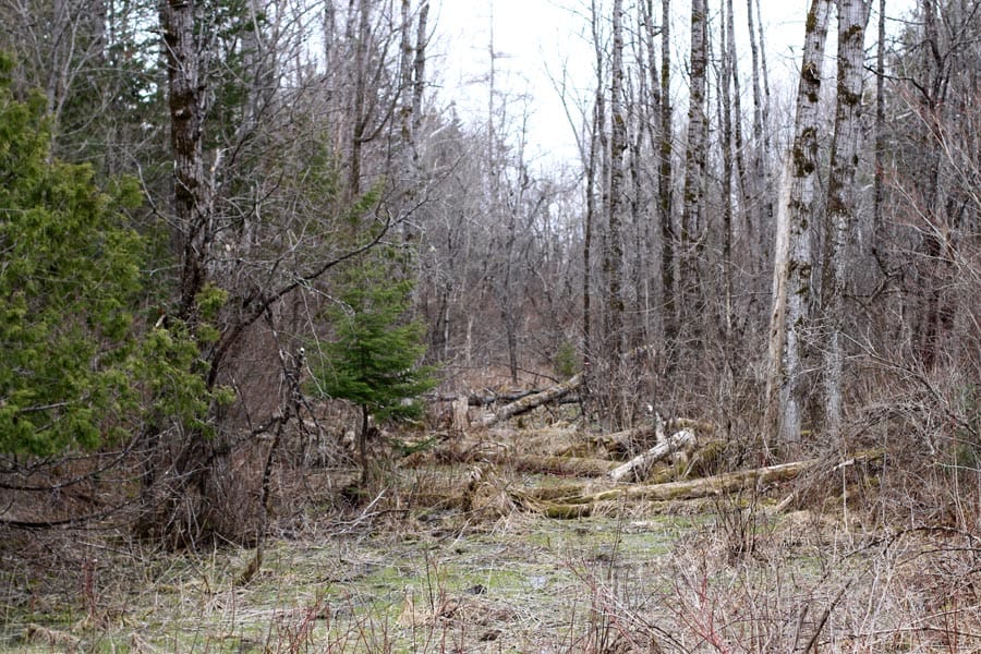 Sunrise Estates Tract 6 photo 11