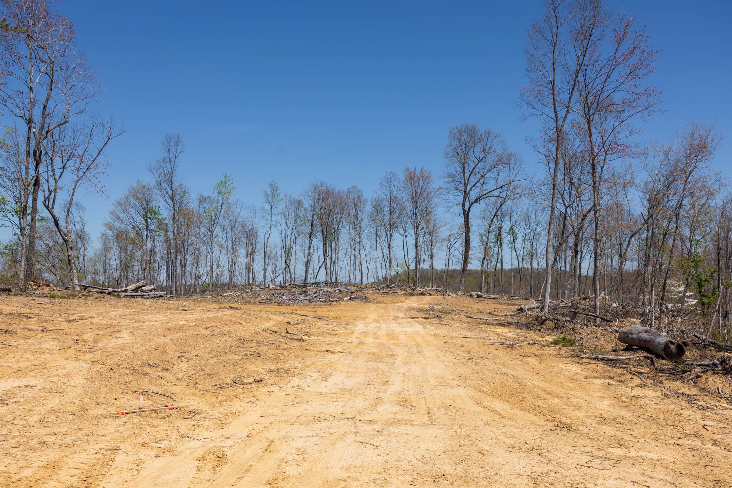 Creek Hollow Phase I Tract 51 photo 3