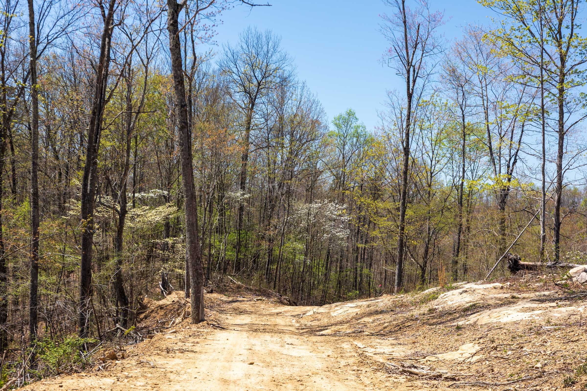 Creek Hollow Phase I Tract 51 photo 5