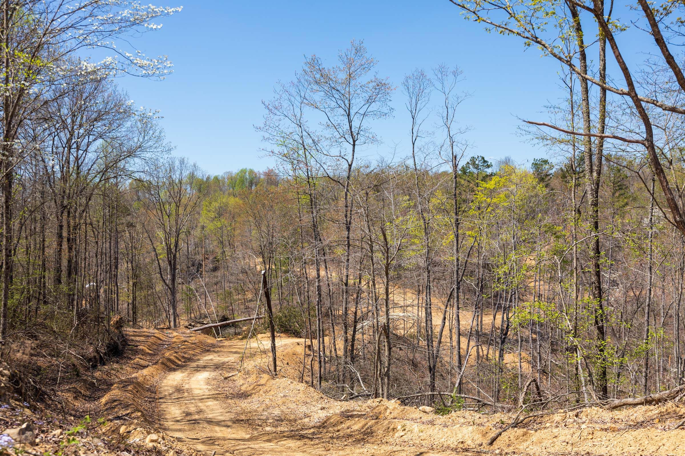 Creek Hollow Phase I Tract 51 photo 7