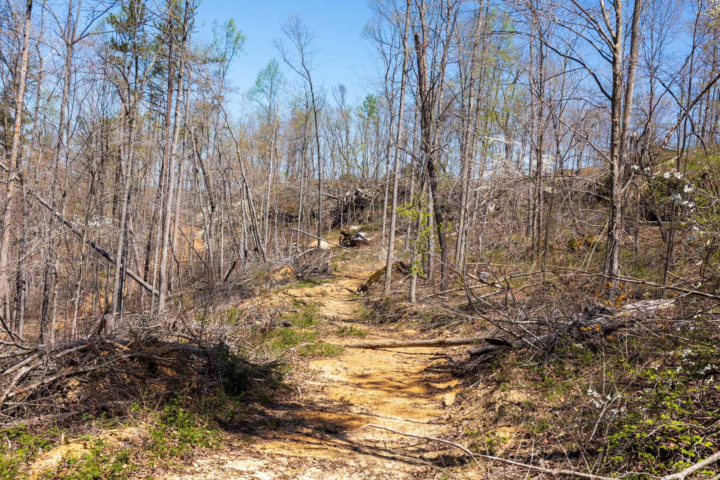 Creek Hollow Phase I Tract 51 photo 9