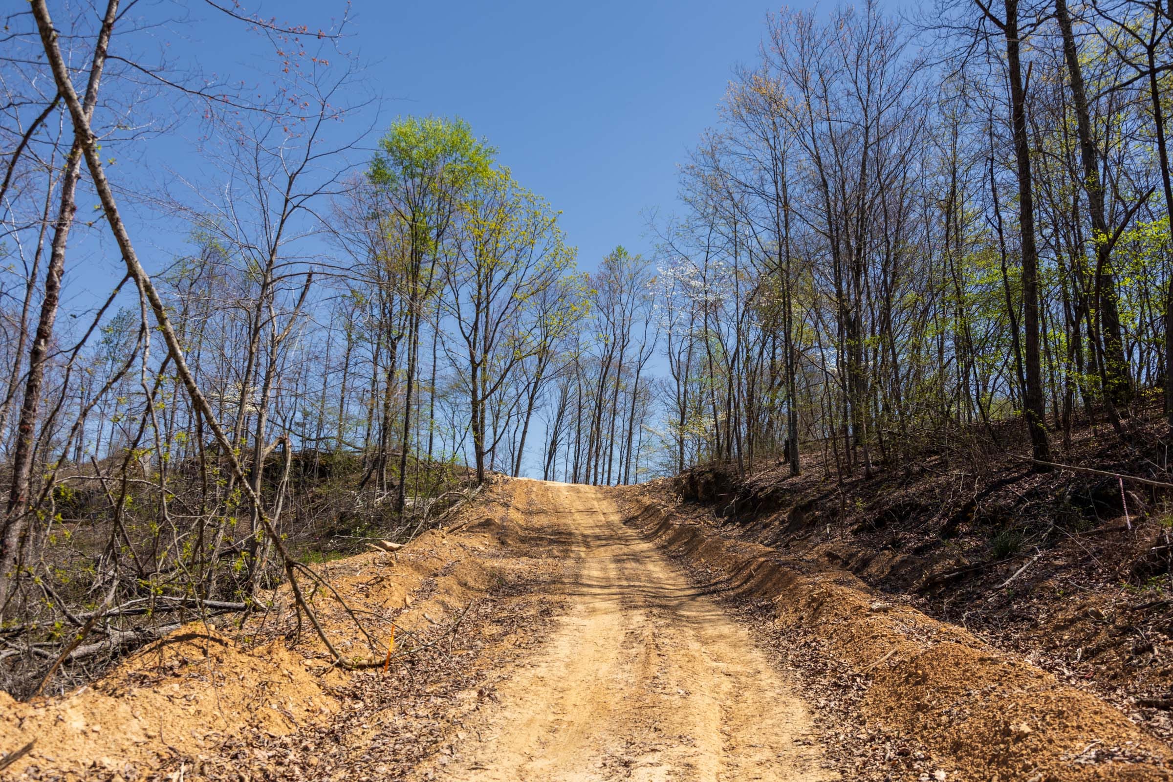 Creek Hollow Phase I Tract 51 photo 1