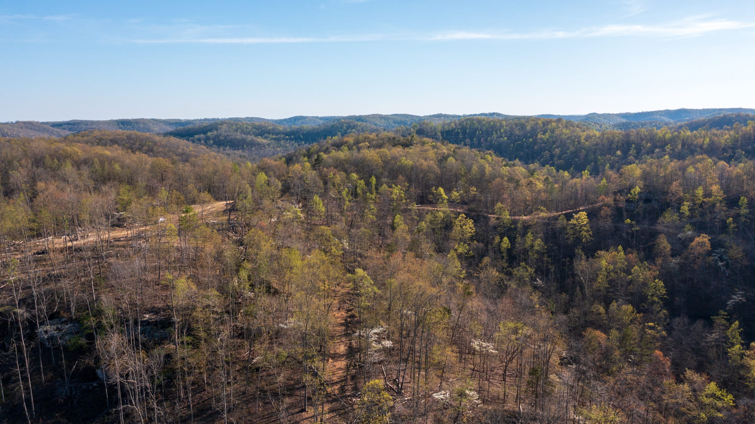 Creek Hollow Phase I Tract 51 photo 10