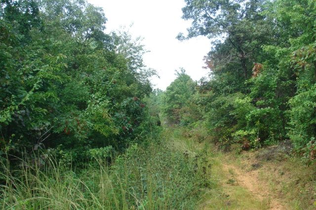 Sugartree Falls Tract 41 photo 1