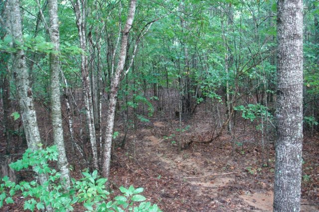 Sugartree Falls Tract 41 photo 3