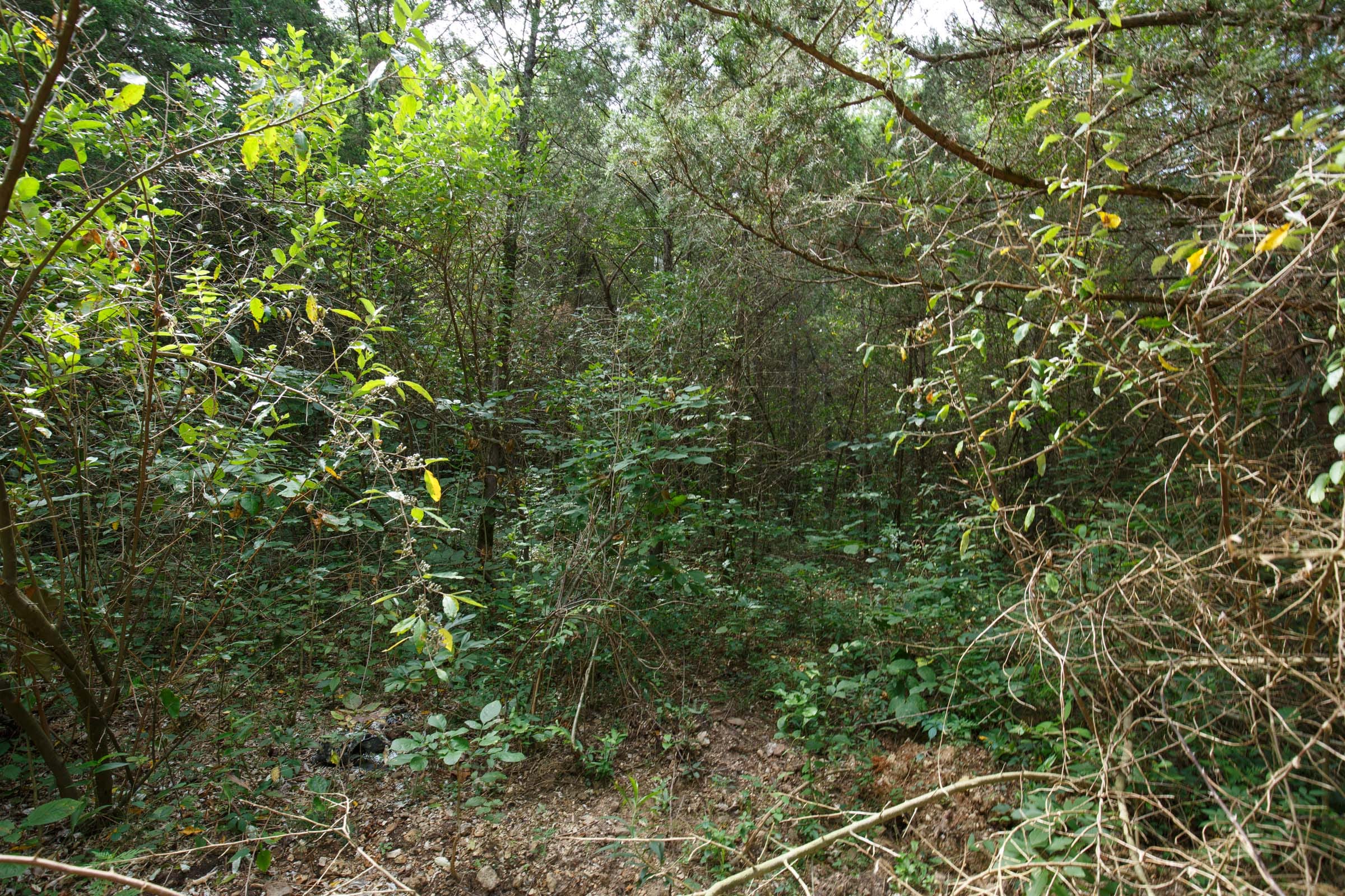 Spring Lake Plat 6 Tract 6 photo 5