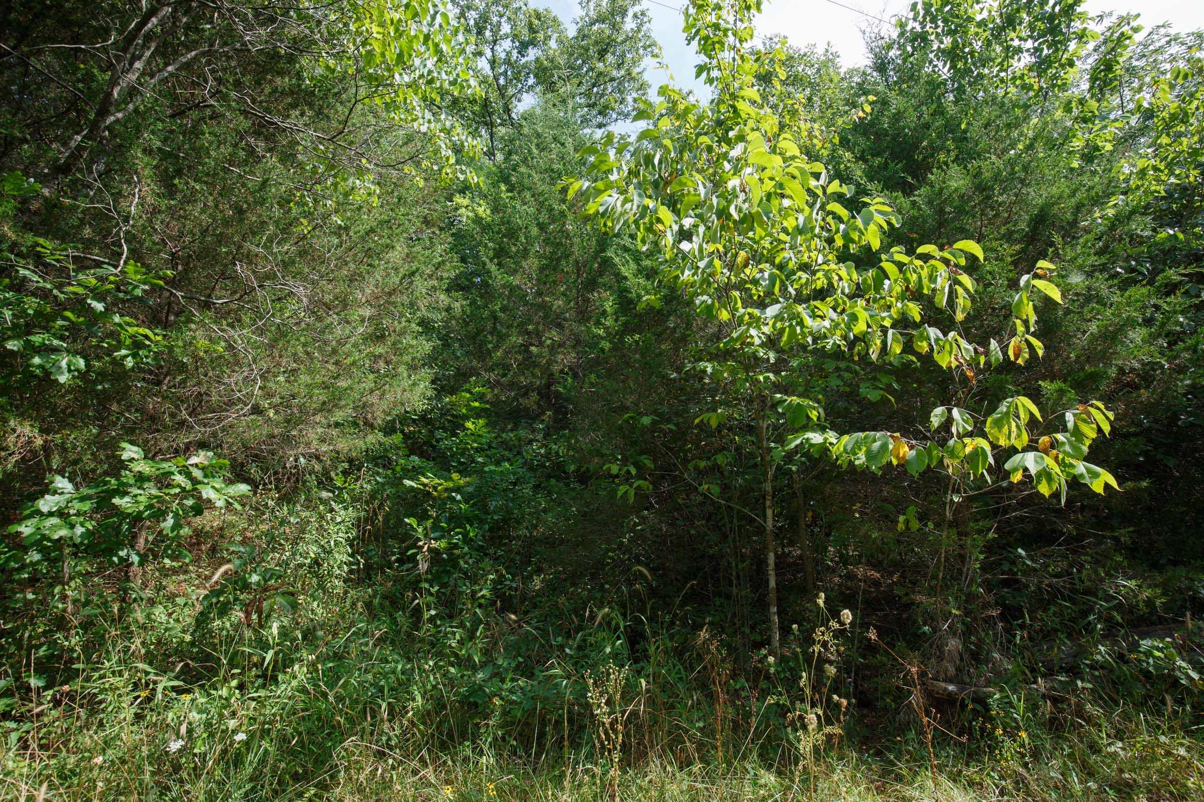 Spring Lake Plat 6 Tract 6 photo 2