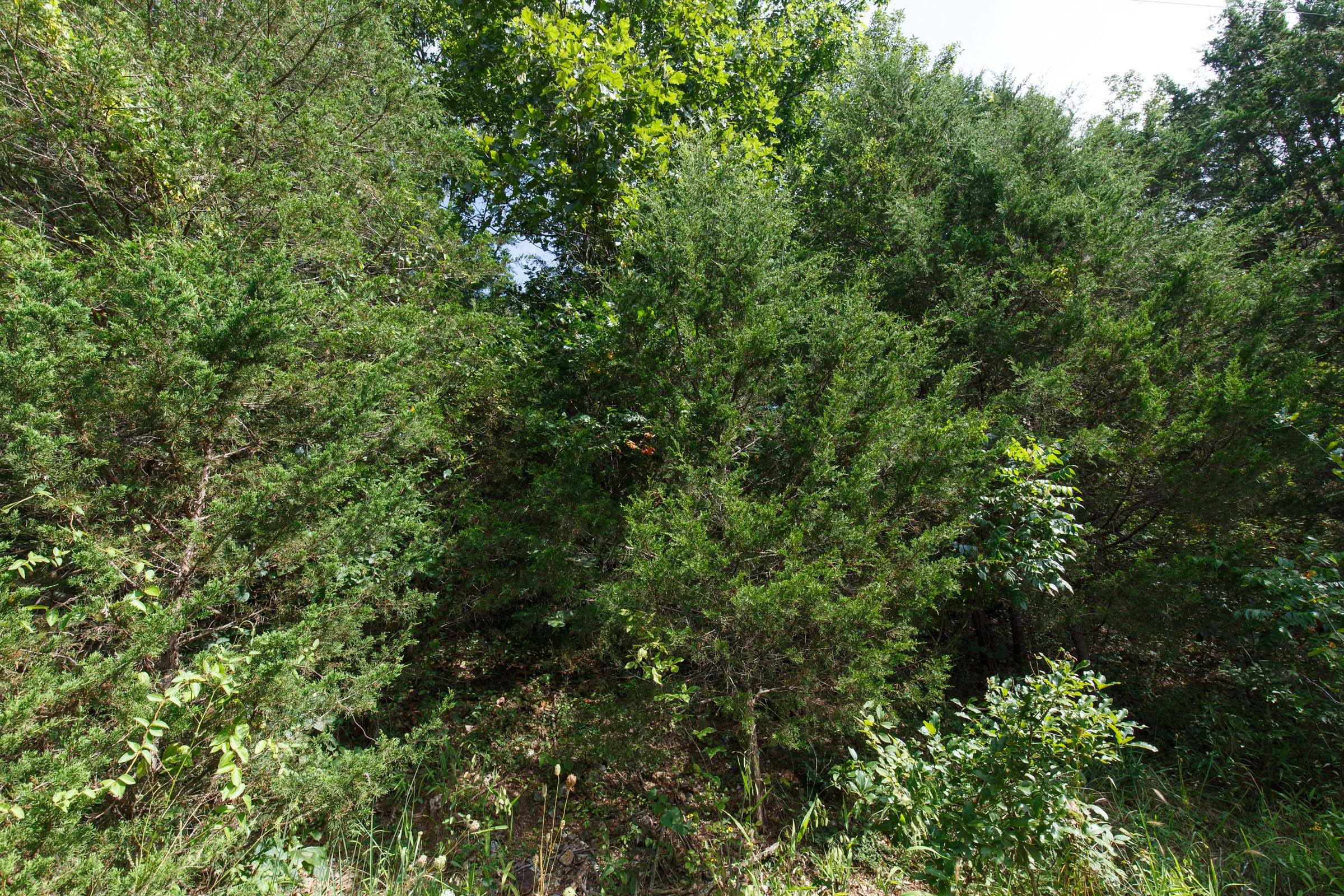 Spring Lake Plat 6 Tract 6 photo 3