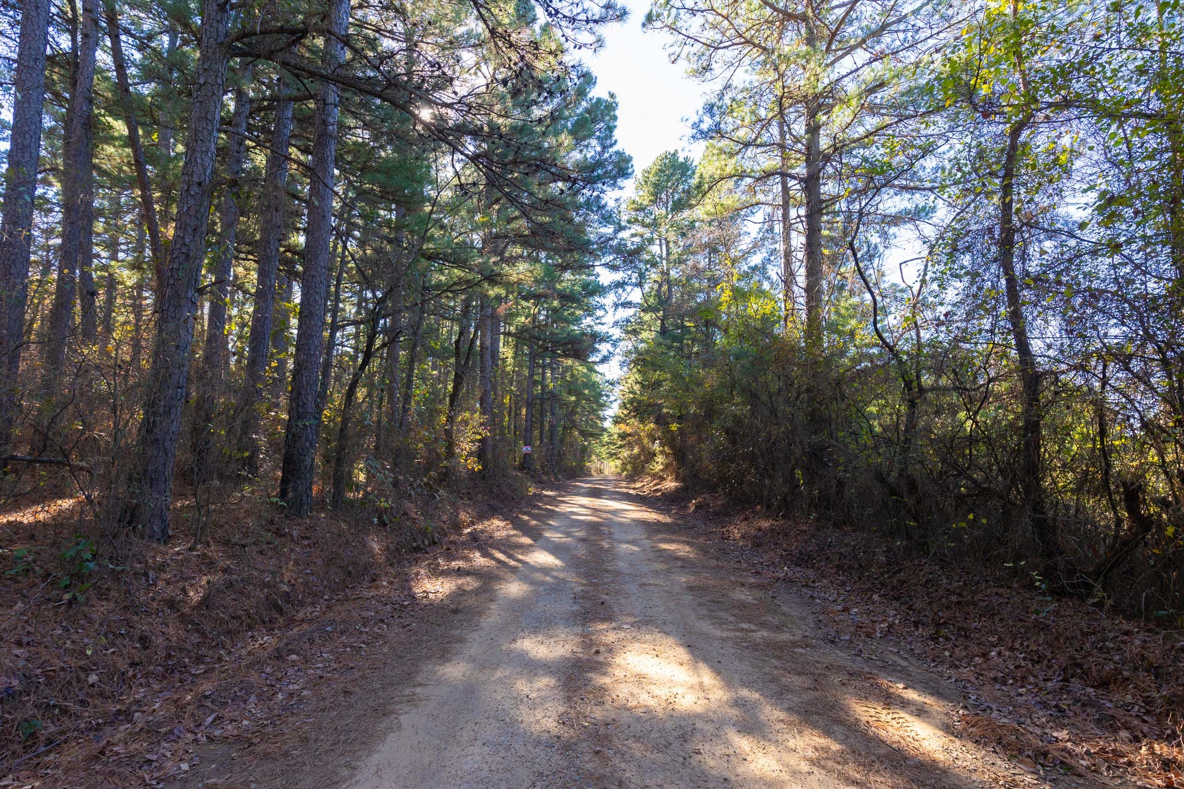 Stone Bridge Phase I Tract 3 photo 6