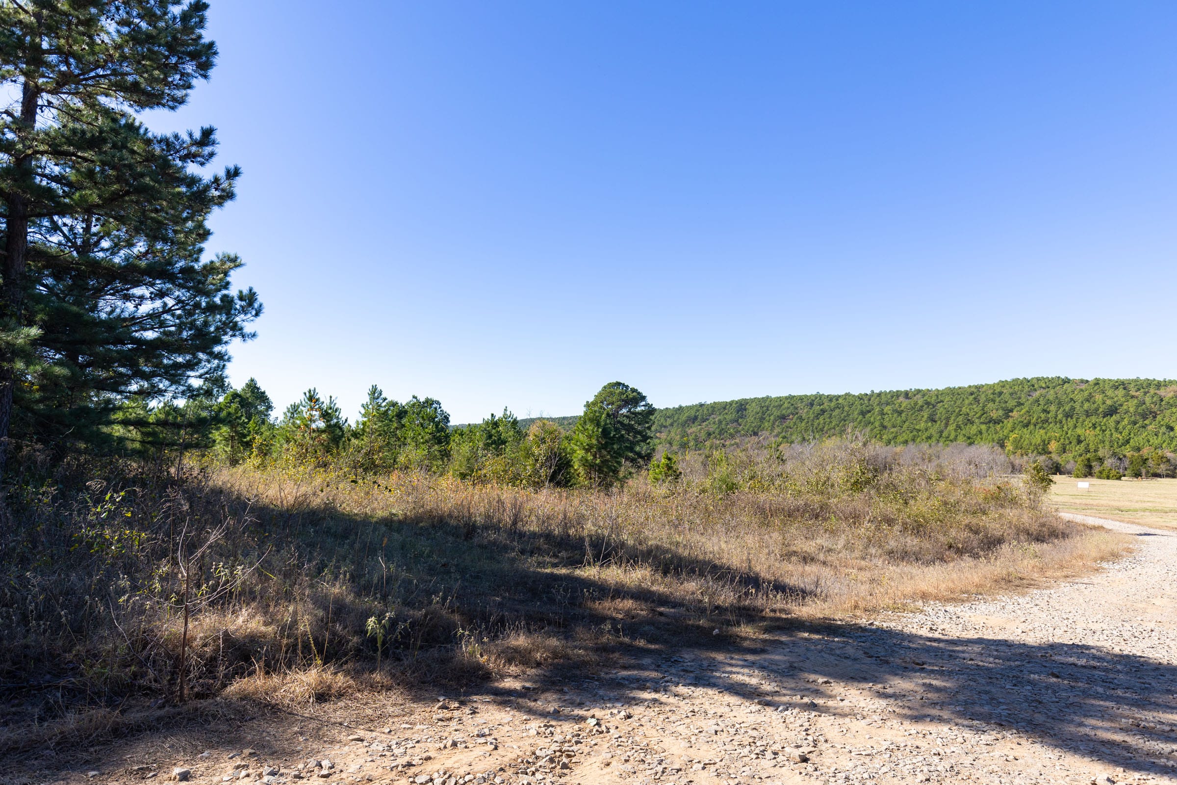 Stone Bridge Phase I Tract 3 photo 7