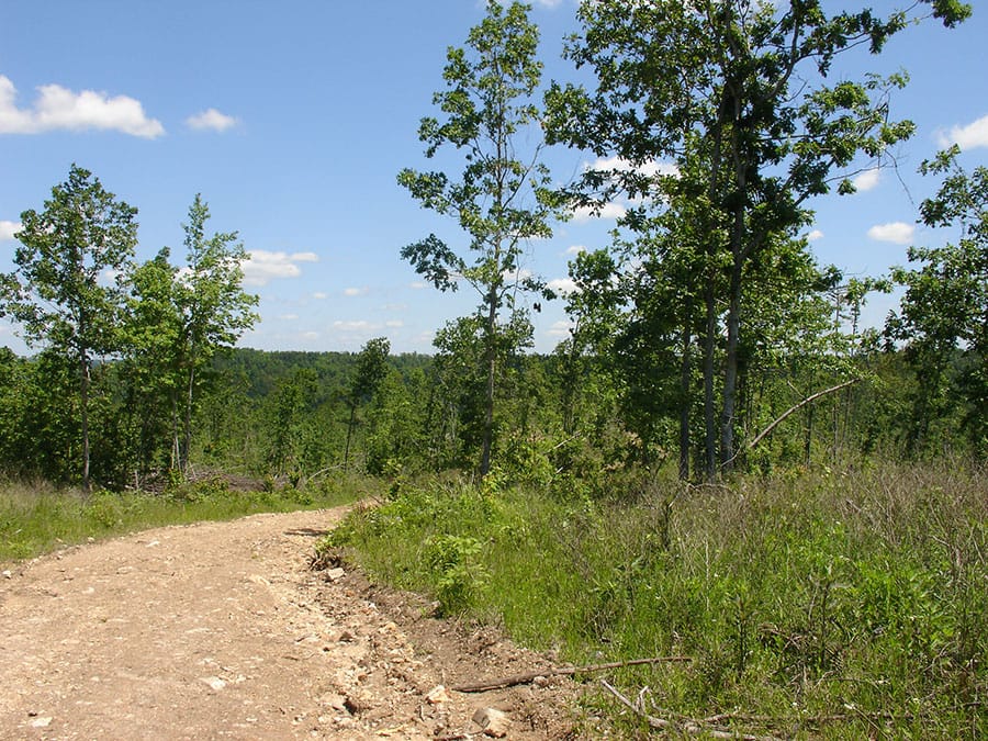 Antler Ridge Tract 9 photo 1