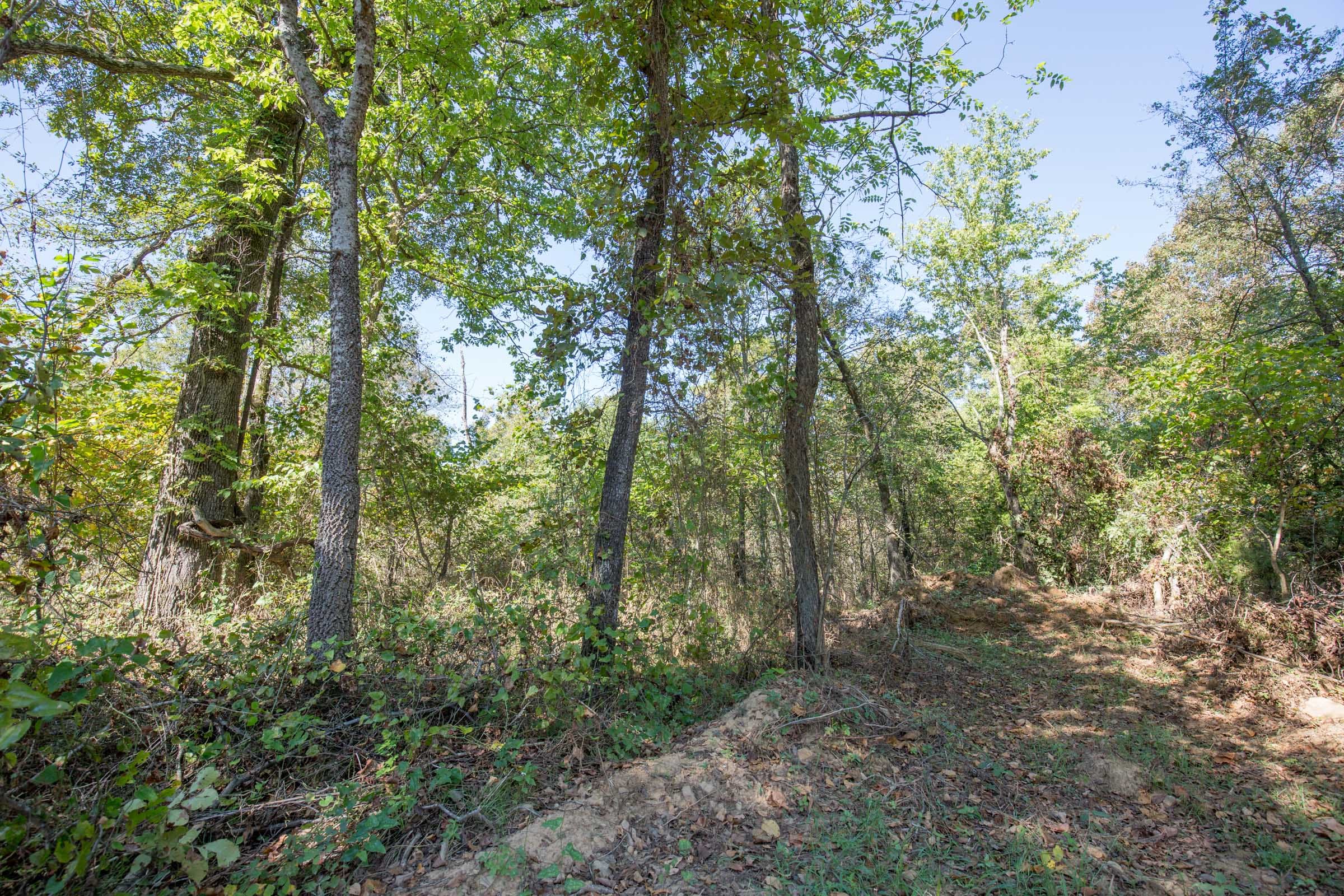 Stone Bridge Phase I Tract 27 photo 6