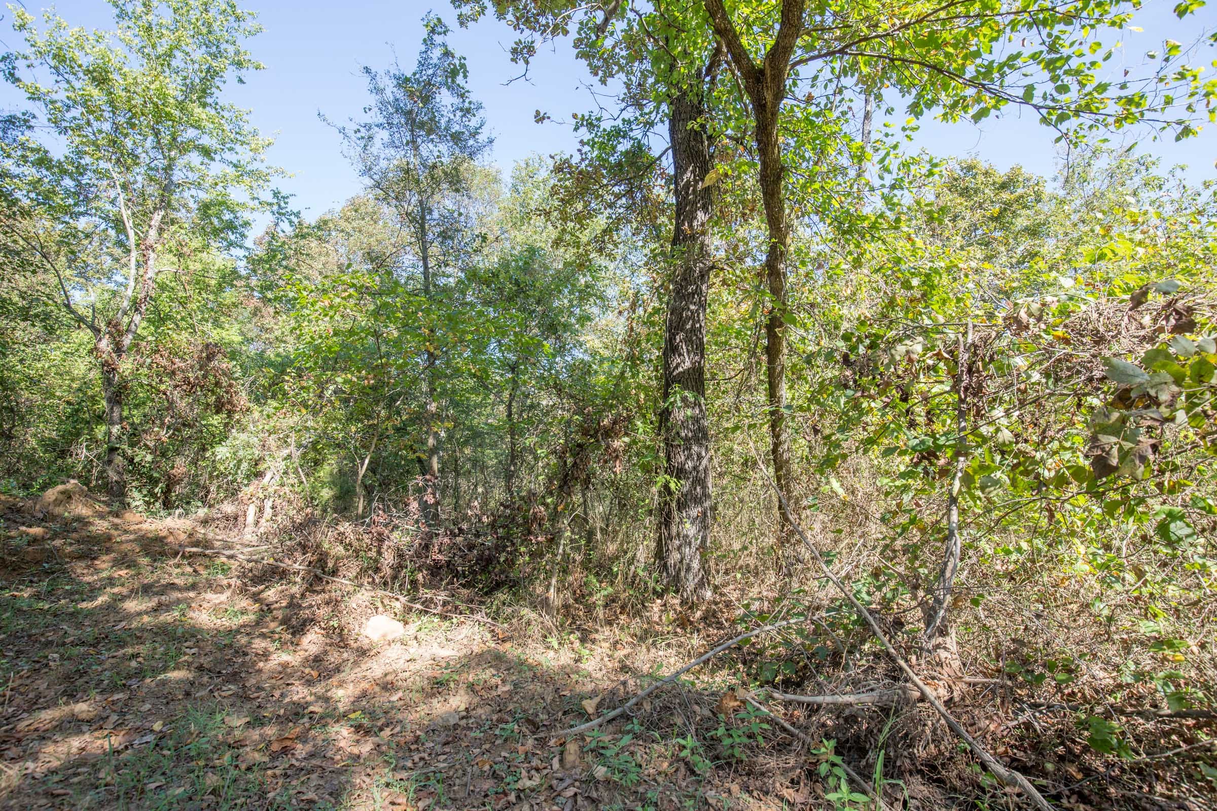 Stone Bridge Phase I Tract 27 photo 7