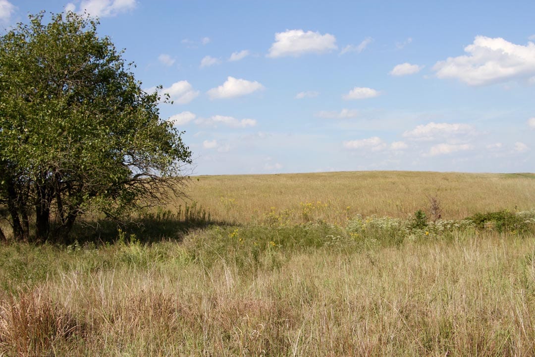 Cowboy Meadows Tract 24 photo 1