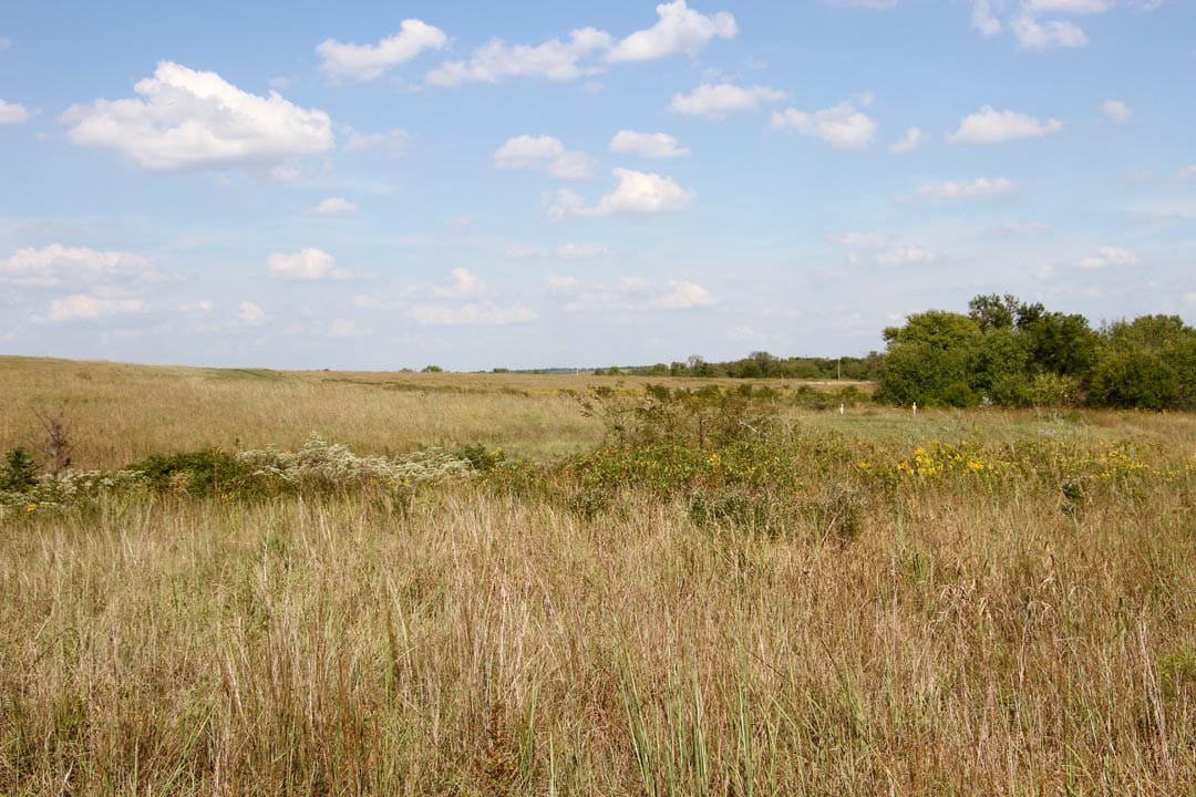 Cowboy Meadows Tract 24 photo 2