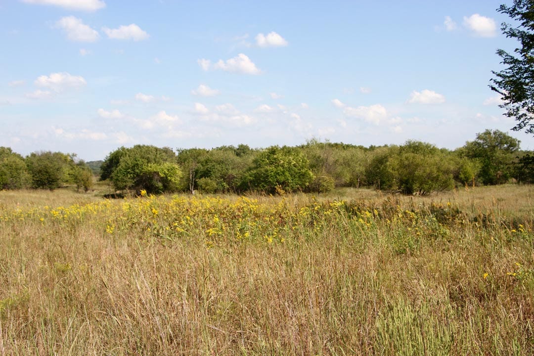 Cowboy Meadows Tract 24 photo 3