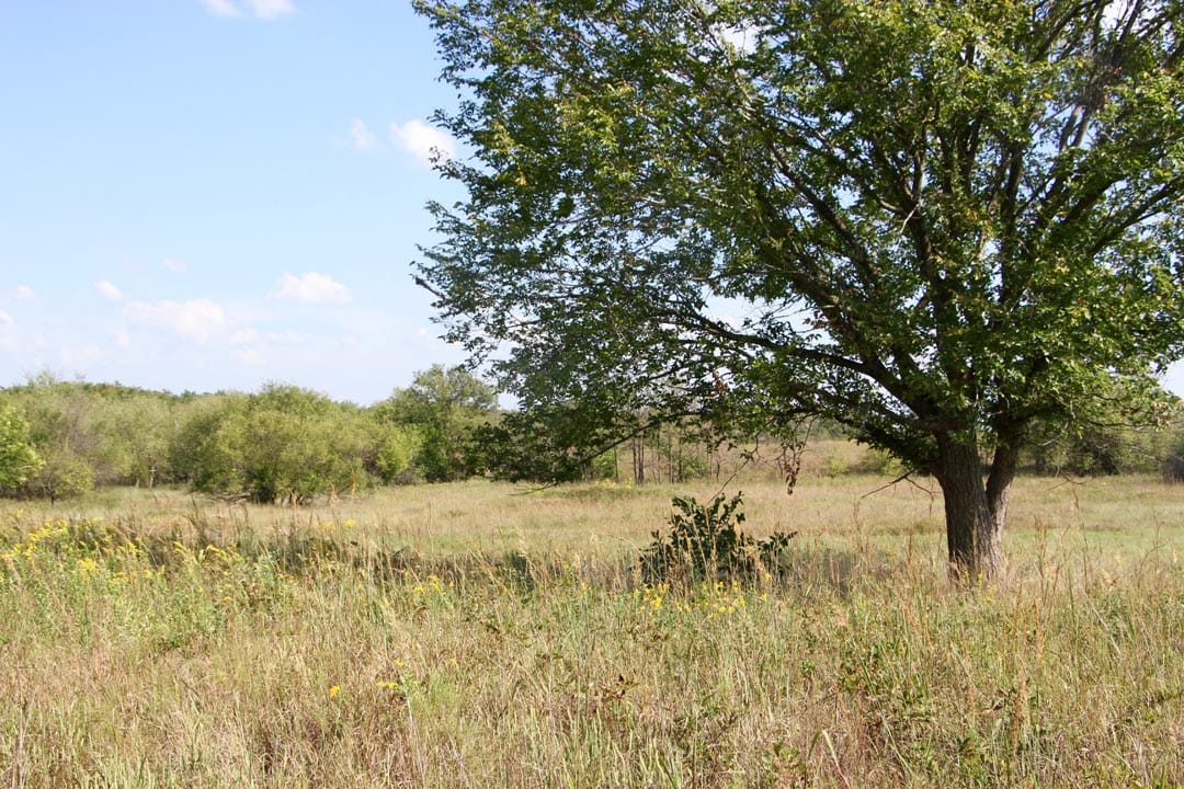 Cowboy Meadows Tract 24 photo 4